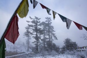 bhutan kleiner panda roter panda doku axel gebauer nepal himalaya das erste