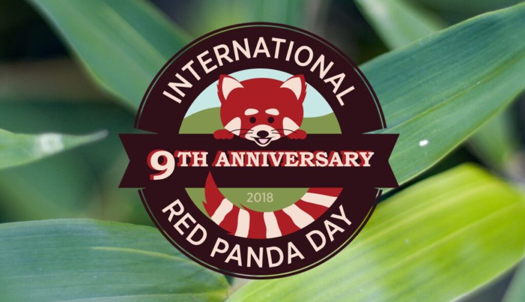 international red panda day 2018