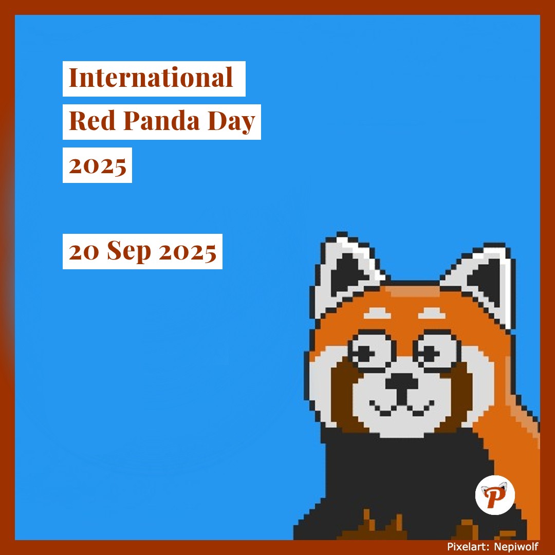 Eine Pixelart-Darstellung eines Roten Pandas auf blauem Hintergrund. Dazu der Text: International Red Panda Day 2025, 20 Sep 2025.