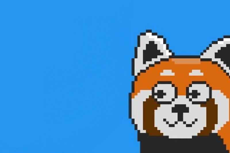 Internationaler Tag des Roten Pandas 2025